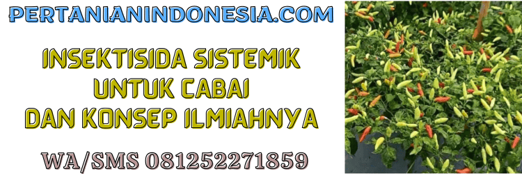 insektisida,sistemik,cabai,pestisida,pertanian indonesia